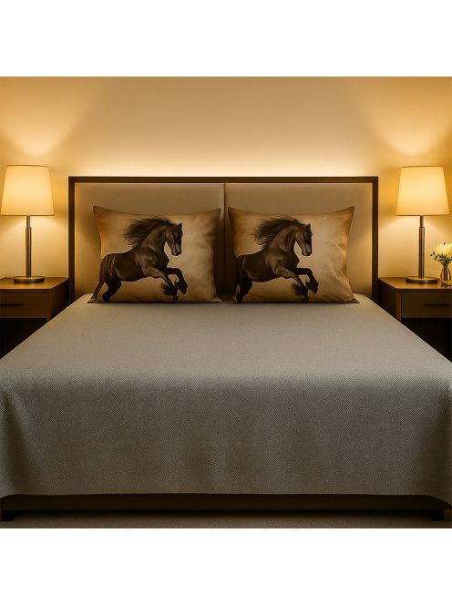 Долен чаршаф с 4 калъфки (размер 220x240) с коне
