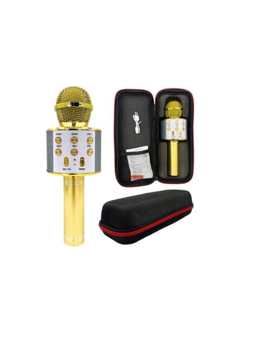 Безжичен микрофон, Bluetooth, FM радио, златен